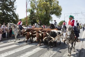 Ribatejo > Percursos Pedestres > Coruche #8