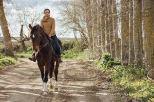 Ribatejo > Natureza > Viva o Cavalo Lusitano #1