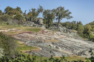 Parques e Reservas Naturais > Parque Natural da Serra de São Mamede #1