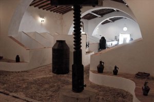 TI Baixo Alentejo #4