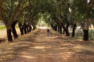 Centro Cycling Serra d Ossa #1