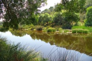 Percursos Transalentejo > Alter do Chão #1