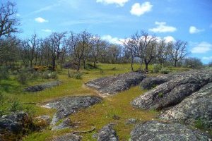 Percursos Transalentejo > Castelo de Vide #2