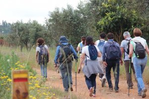 Percursos Transalentejo > Odemira #1