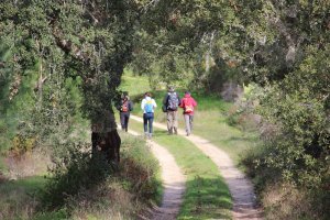 Percursos Transalentejo > Santiago do Cacém #2