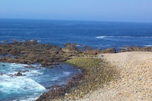 Percursos Transalentejo > Sines #1