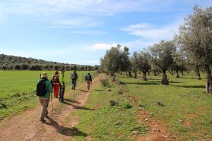 Percursos Transalentejo > Sousel #1